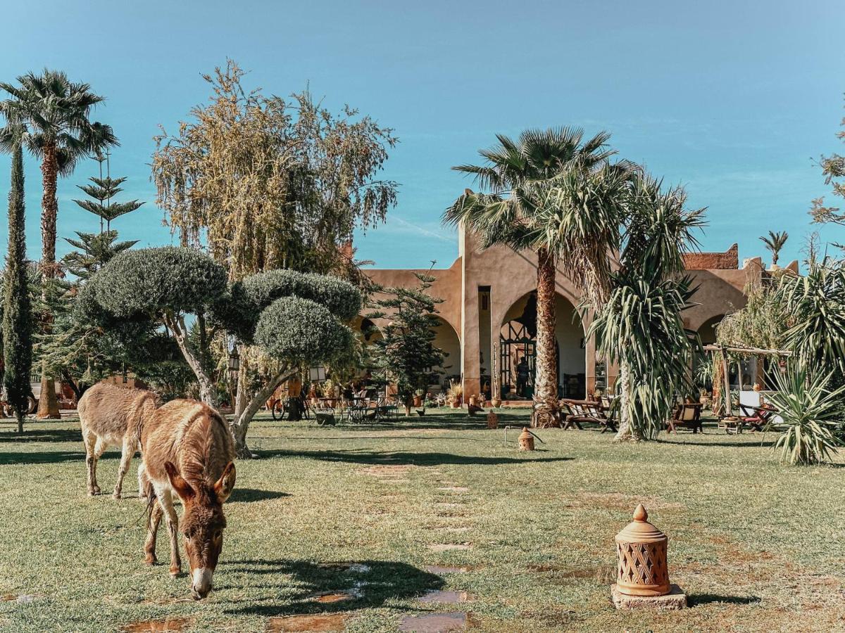 Le Bled De Gre Hotel El Makina ภายนอก รูปภาพ