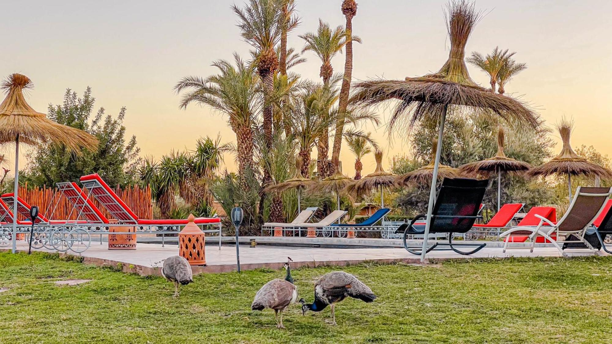 Le Bled De Gre Hotel El Makina ภายนอก รูปภาพ